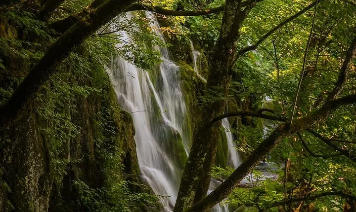 From Split: Discover Plitvice Lakes~Guided Group Adventure Awaits