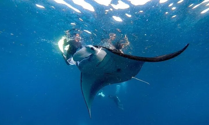 PRIVATE Nusa Penida on Boat Snorkeling & Island Tour (INCLUSIVE)