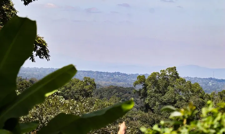 1 Day hike in rural Arusha