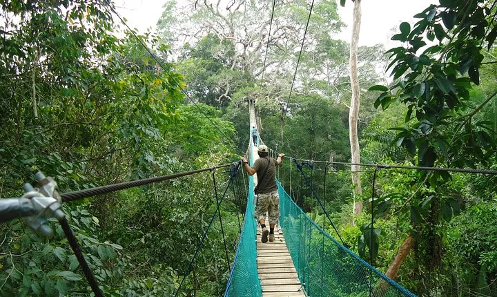 Jungle Eco Jungle And Adventure - 4 Days / 3 Nights