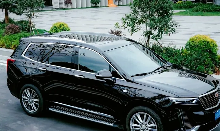Xi'an Car Service: 1-2 Day Customizable Tour 