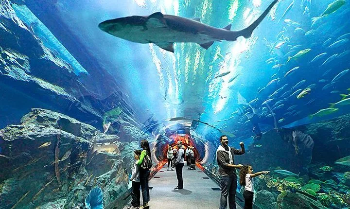 Pattaya Underwater World Aquarium