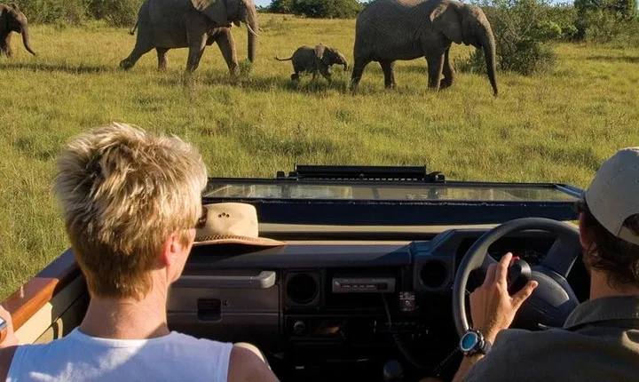 4 Day Garden Route Luxe Selection Micro Group Tour from Cape Town