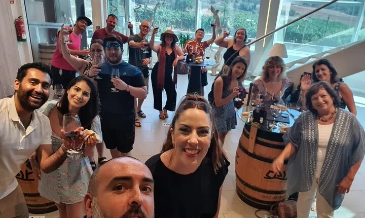 Ribera del Duero Tour: 4 Wineries Visit, Wine Tasting & Lunch