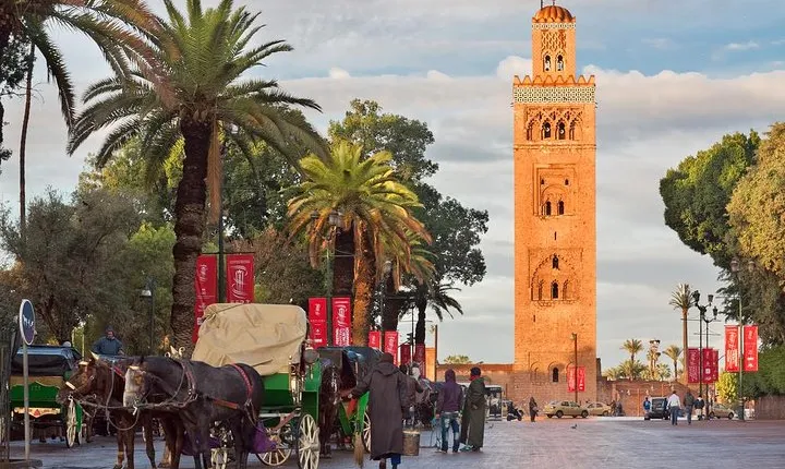 Historical and Cultural Private Tour of Marrakech 