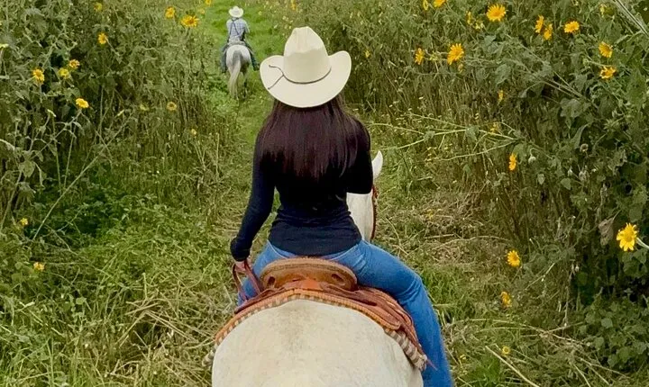 Horseback, Culture & Mexican Flavors Experience