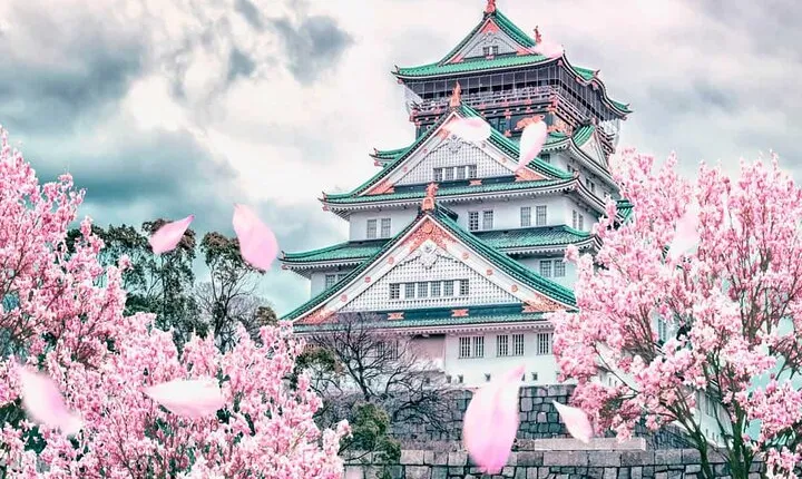 Osaka and Nara Day Tour with Private Transportation