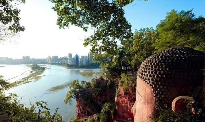 One Day Trip to Chengdu Panda Base and Leshan Buddha Tour
