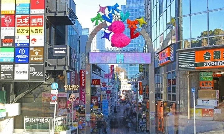 Private Tour in Tokyo with Shopping