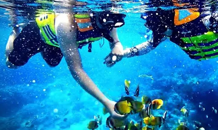 Blue Lagoon Paradise Snorkeling Tour