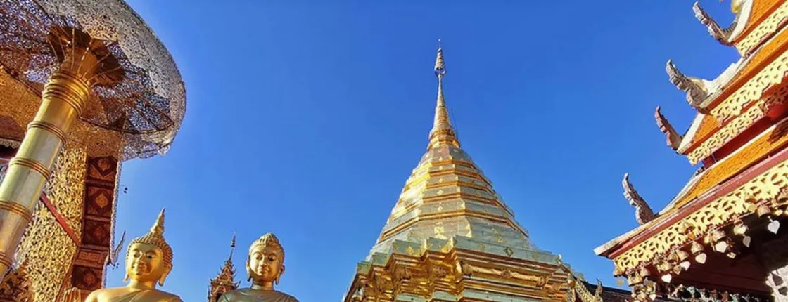 Private half-day tour to Wat Pha Lat and Wat Phra That Doi Suthep