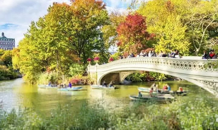 Central Park Walking Tour