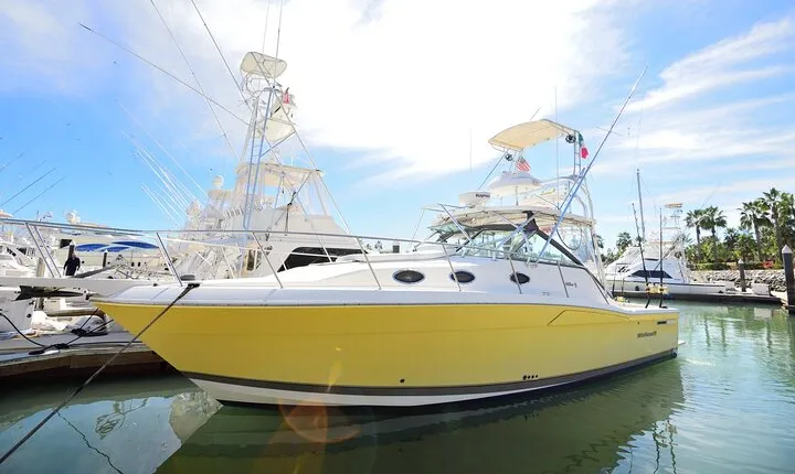 Luxury Fishing Charter