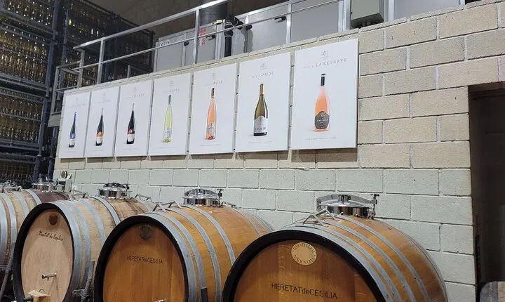 Beautiful Winery in the Alicante