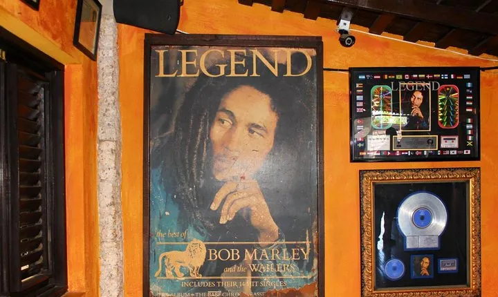 Bob Marley Nine Mile - Dunn's River Falls and Columbus Park Day Adventure