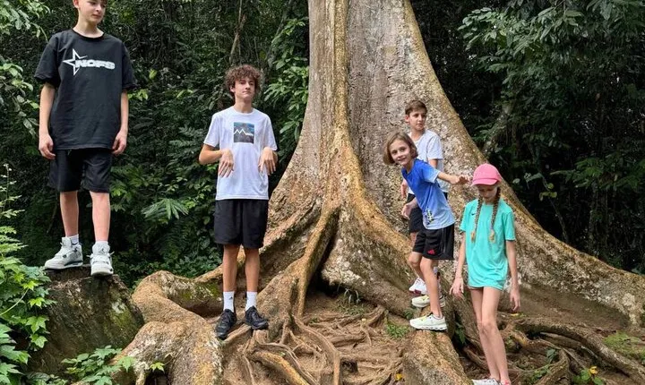 Private Taman Negara Rainforest Day Tour
