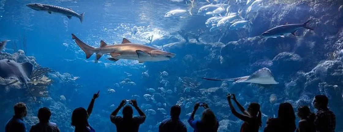 Tickets to ZooQuarium in Tampa