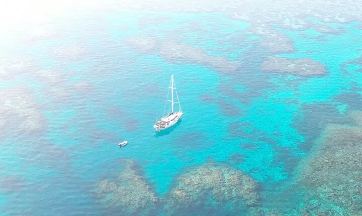 Major Tom -Sailing Day Cruise, with Snorkeling & Lunch