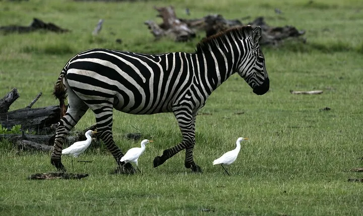 4- Days Adventure In The Northern Circuit