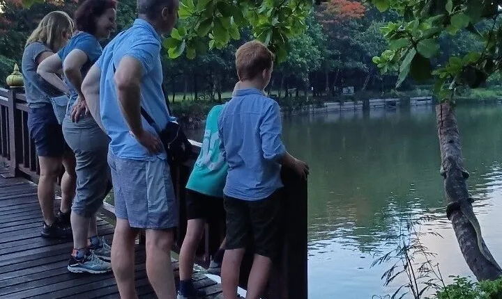 Bamboo Bicycle Tour in twilight: watch dancing Fireflies in Bangkok