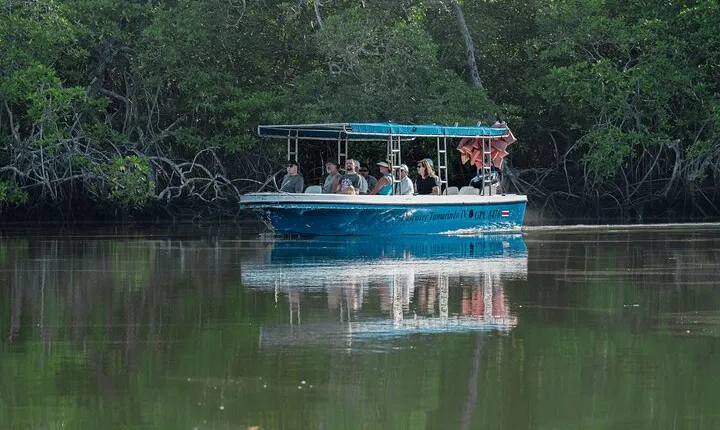 Tamarindo Estuary Boat Tour