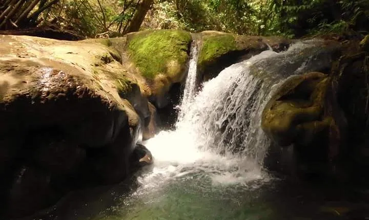 Mayfield Falls nature walk