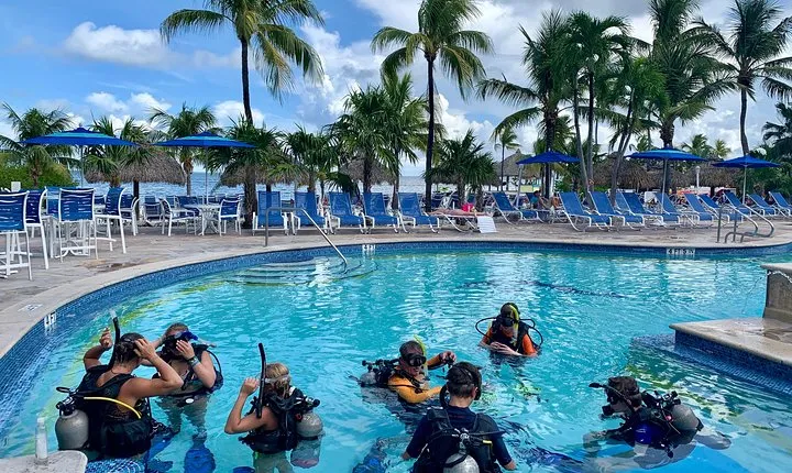 Half Day Scuba Diving Trip in the Florida Keys