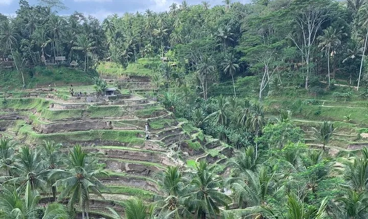 Best of Ubud & Mount Batur Volcano Private Bali Tour