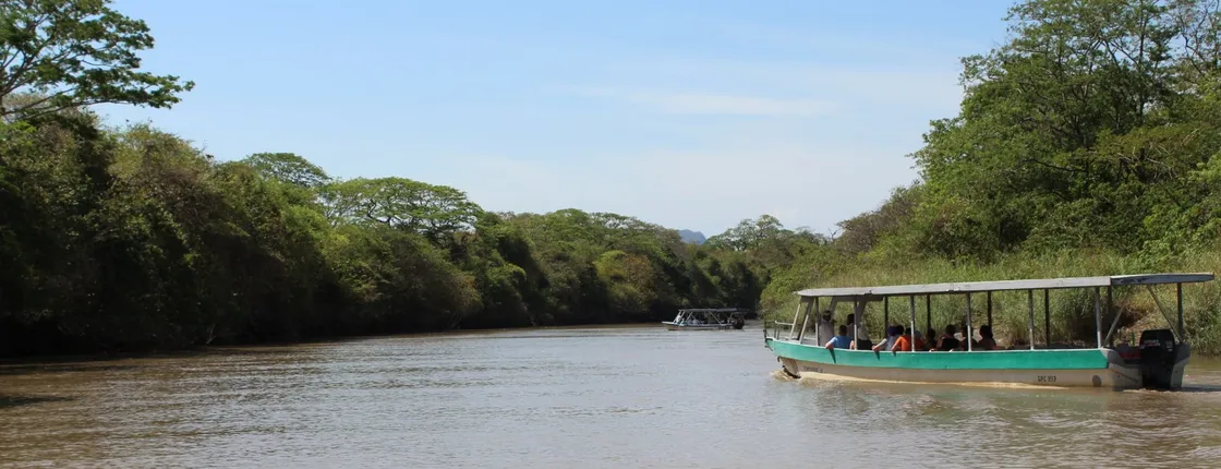 Jungle river cruise at Palo Verde National Park