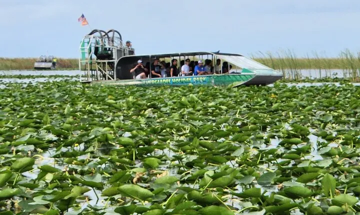 Everglades Airboat Ride with Bus transfer from Miami Beach