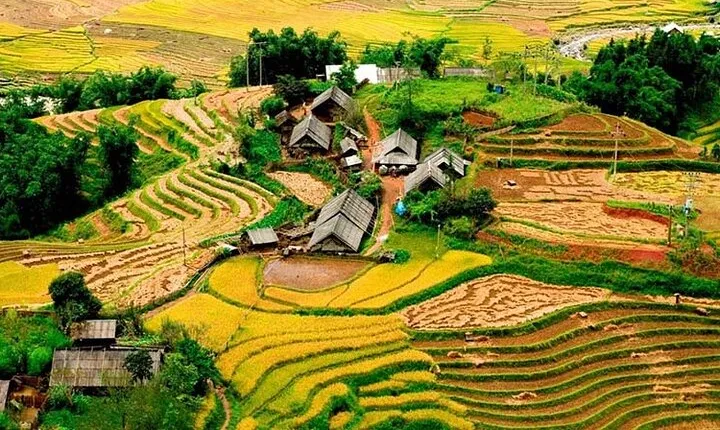 PRIVATE Trekking Sapa Tour 2 Days 1 Night ( Homestay Overnight)