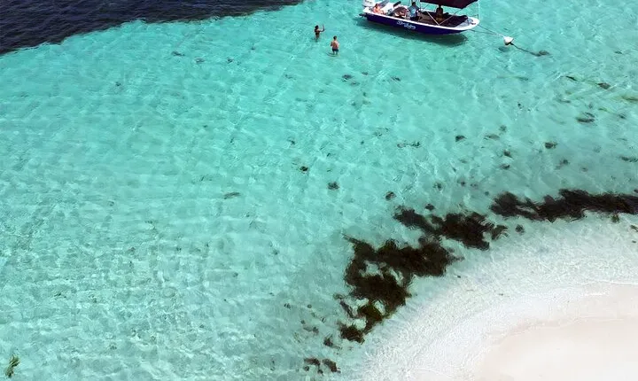 Visite guidée en bateau : Mangrove, ilets, snorkeling, planteur.