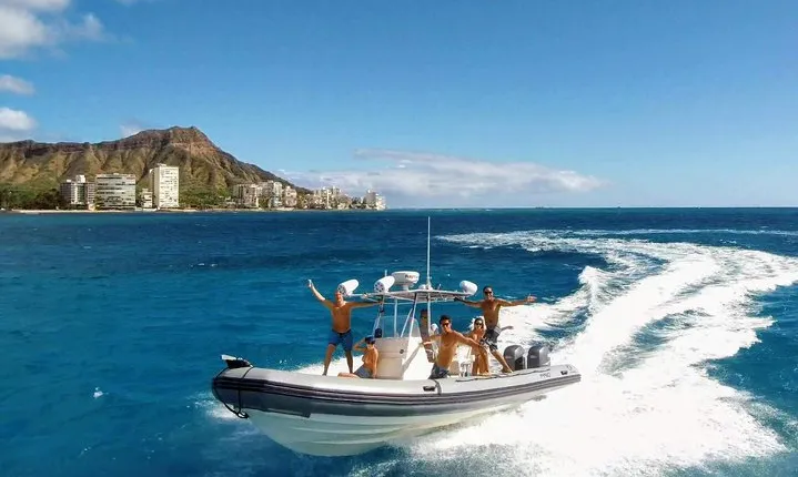 Private Snorkeling and Wildlife on The Adventure Boat