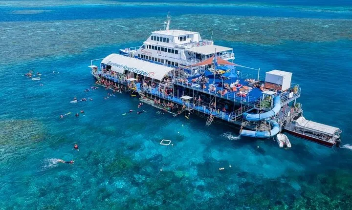 Moore Reef Day Tour with Dive from Cairns