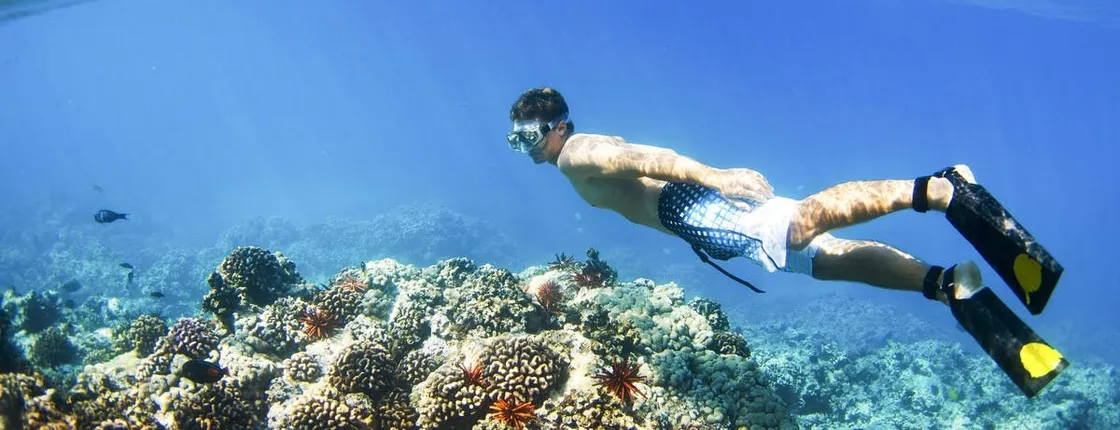 Blue Lagoon snorkeling and Lempuyang temple tour