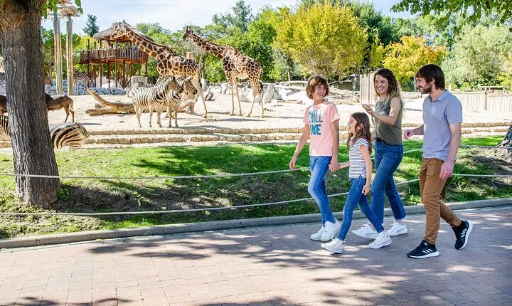 Zoo Aquarium Madrid Admission Ticket 