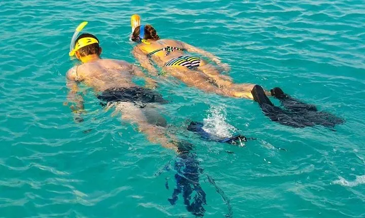 Snorkeling at Mnemba Atoll