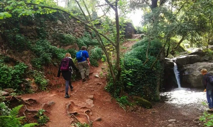 Montseny Guided Hiking Tour from Barcelona with Organic-friendly Lunch