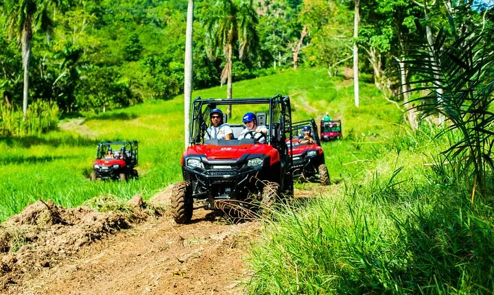 Jungle Buggies + Ziplines Adventures