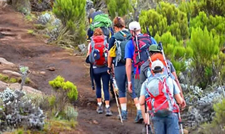Kilimanjaro day trip starting from Arusha