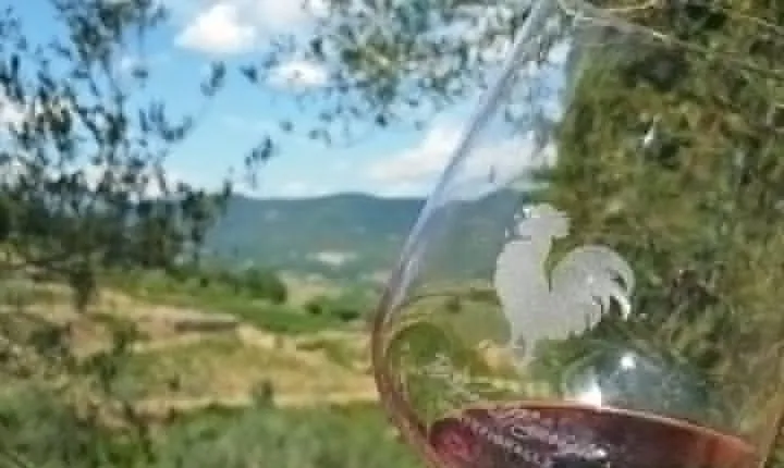 Greve in Chianti Wine Tasting and Winery Tour