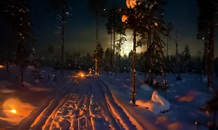 Late Night Ride with Finnhorses