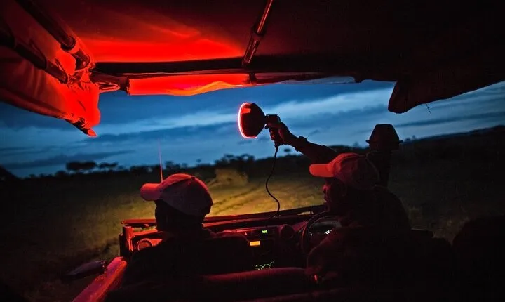 5-day Night safari adventure across iconic Lake Manyara, Crater