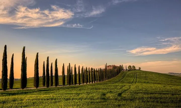 Private Tour: Medieval Val d'Orcia by Minivan from Florence