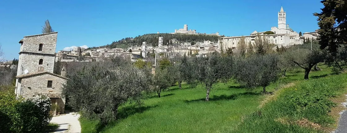 Assisi and Orvieto from Rome enjoy a full day tour in Umbria