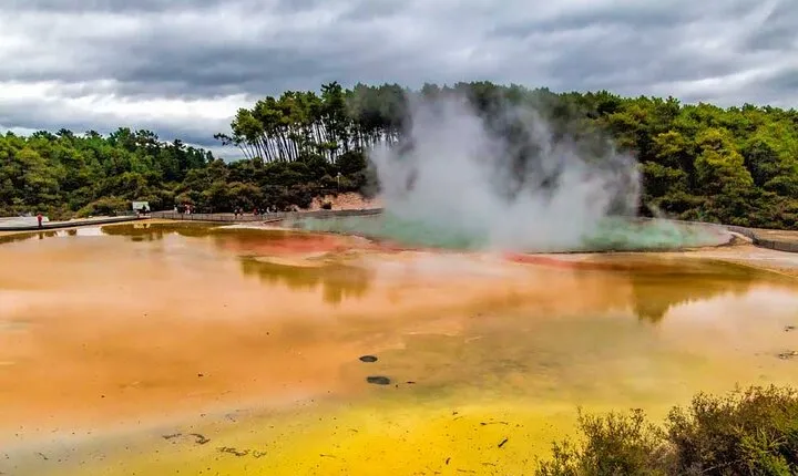 Rotorua to Wai-o-Tapu Thermal Wonderland Shuttle