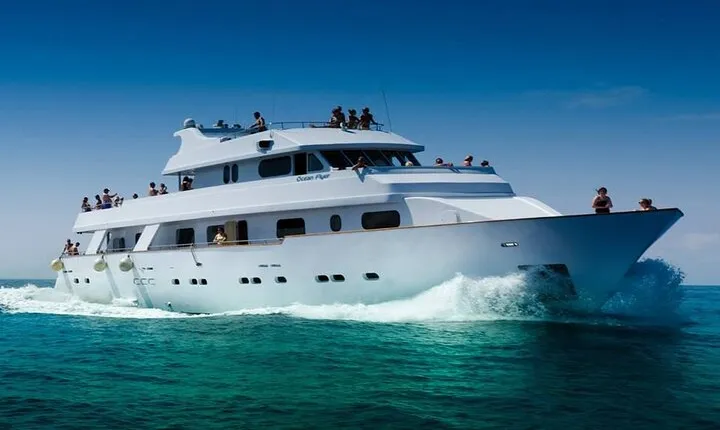 Ocean Flyer | VIP Cruise (Adults Only 18+)