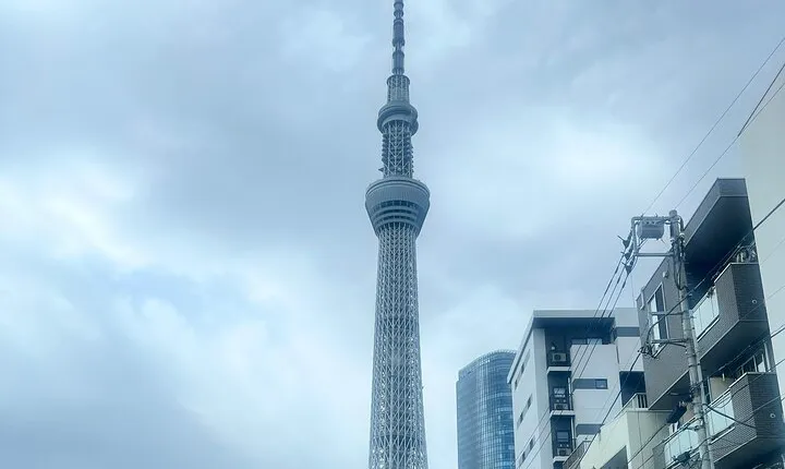 English-speaking guided day tour of Tokyo with a private vehicle
