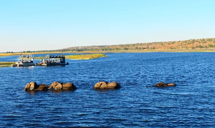 South Africa, Botswana and Zimbabwe Wildlife Adventure