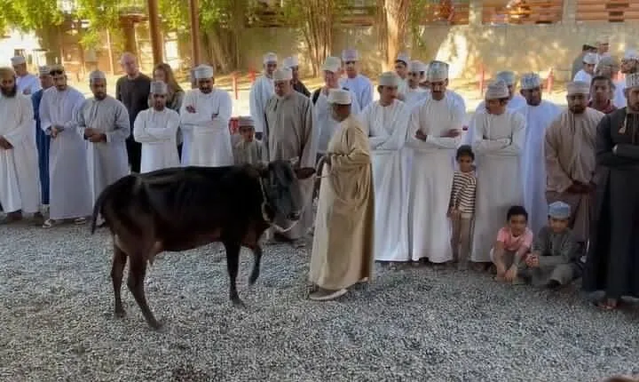 Private Friday Cattle Market-Nizwa and Jebel Akhdar-Full-Day Tour